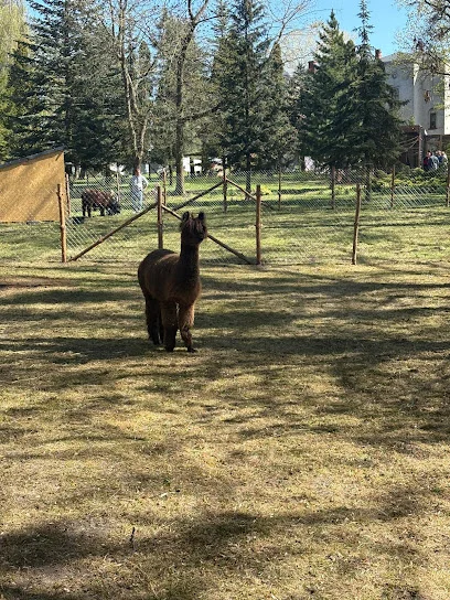Mini Zoo Zwierzyniec Aga (Modlibogowice)
