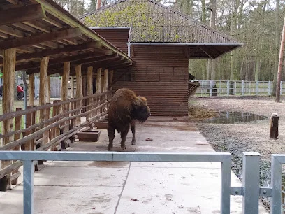 Pokazowa Zagroda Zwierząt w Gołuchowie